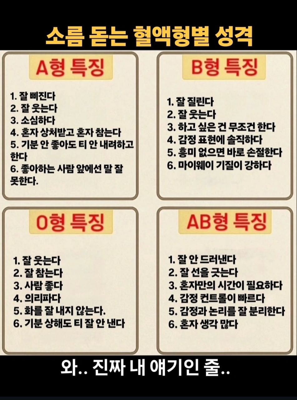 피드 이미지