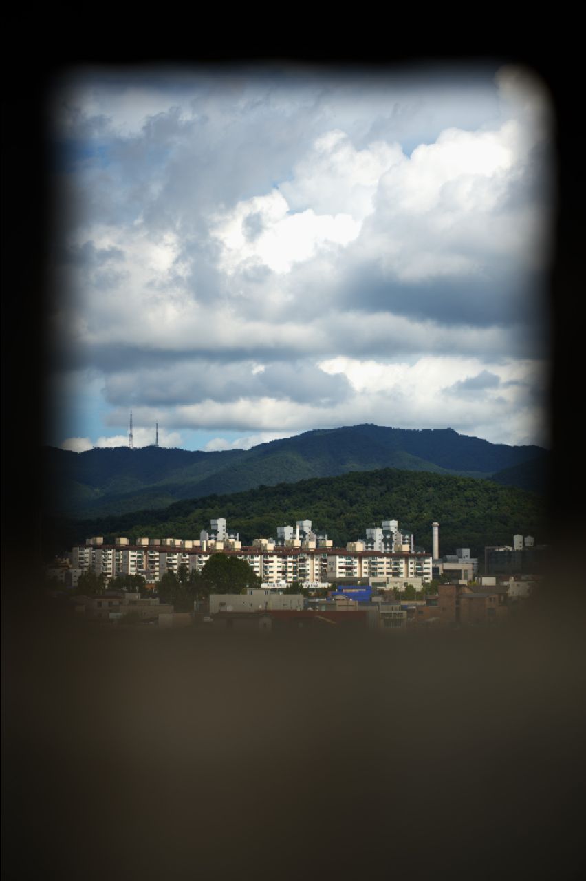 피드 이미지