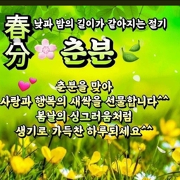 피드에 업로드 된 이미지