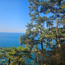 피드에 업로드 된 이미지