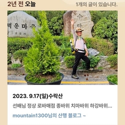 피드에 업로드 된 이미지