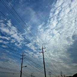 피드에 업로드 된 이미지