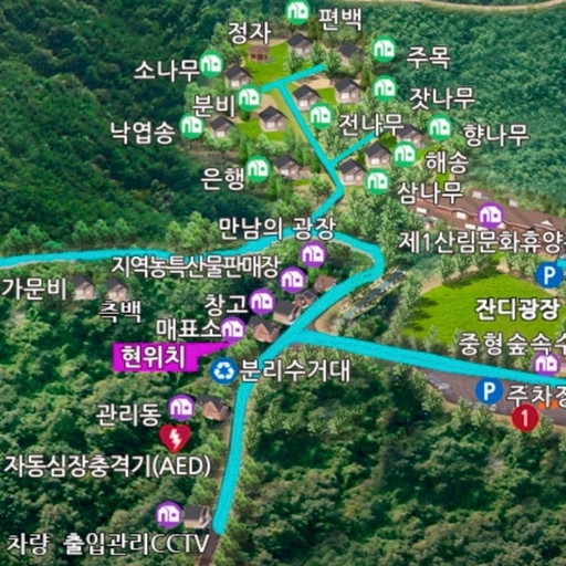 피드 이미지