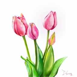 피드에 업로드 된 이미지