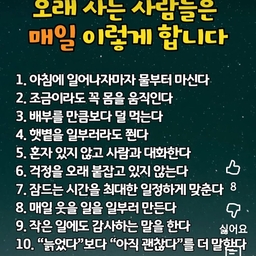 피드에 업로드 된 이미지
