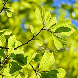 피드에 업로드 된 이미지