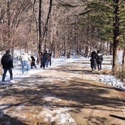 피드에 업로드 된 이미지