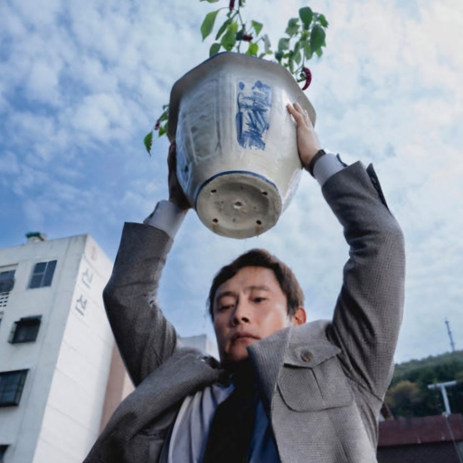 피드 이미지