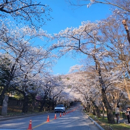 피드에 업로드 된 이미지