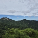 멤버 프로필