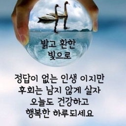 피드에 업로드 된 이미지