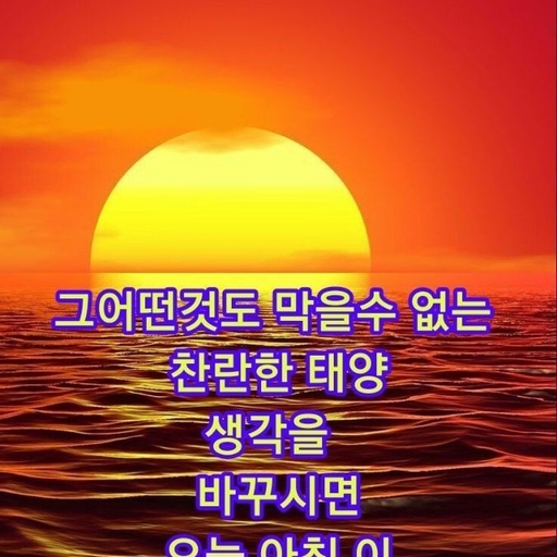 피드 이미지