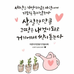 피드에 업로드 된 이미지