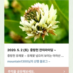 피드에 업로드 된 이미지
