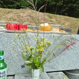 피드에 업로드 된 이미지