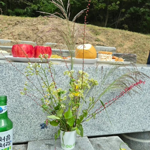 피드 이미지