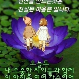 피드에 업로드 된 이미지