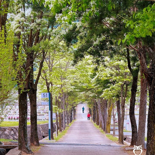 피드 이미지