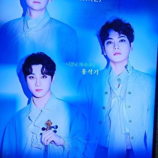 피드 이미지