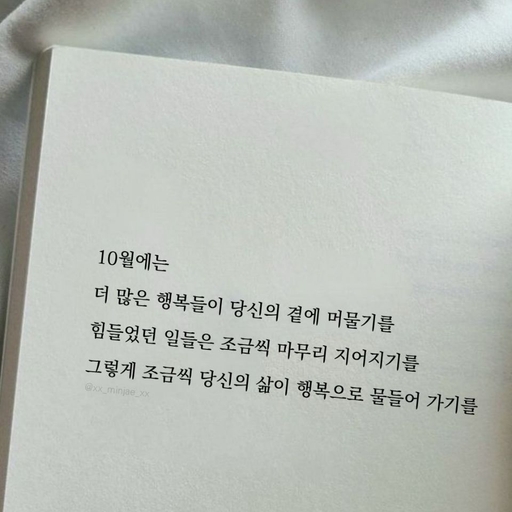 피드 이미지