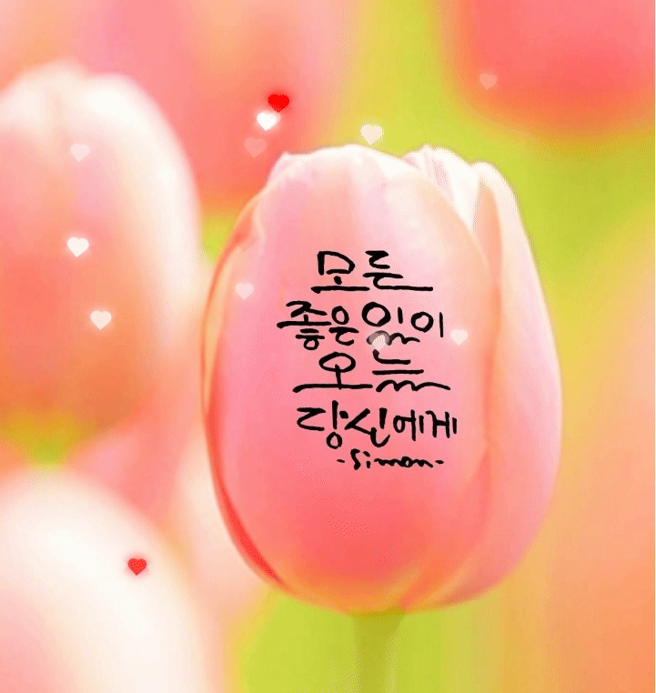 피드에 업로드 된 이미지