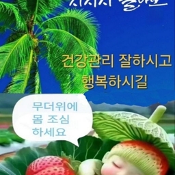 피드에 업로드 된 이미지