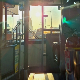 피드에 업로드 된 이미지