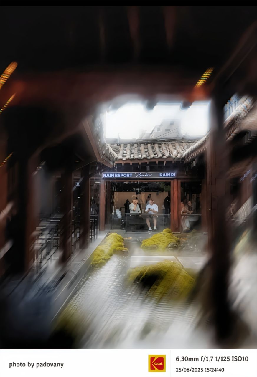 피드에 업로드 된 이미지