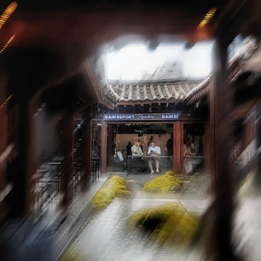 피드 이미지