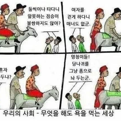 피드 이미지