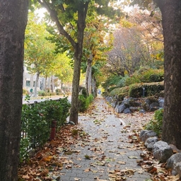 피드에 업로드 된 이미지