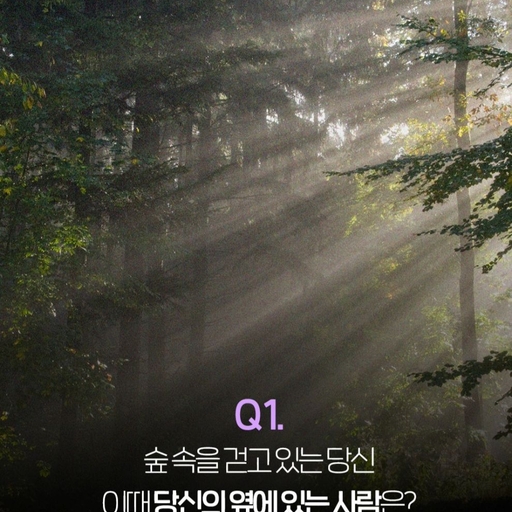 피드 이미지