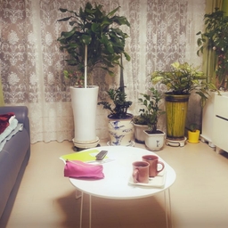 피드에 업로드 된 이미지