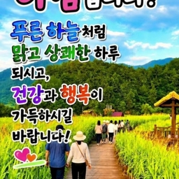 피드에 업로드 된 이미지