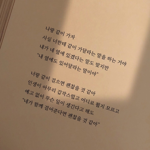 피드 이미지