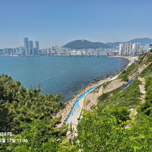 피드 이미지