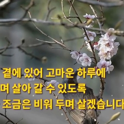 피드에 업로드 된 이미지