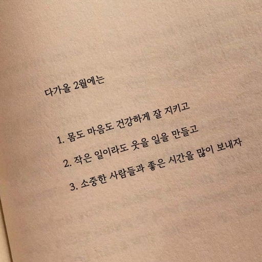 피드 이미지