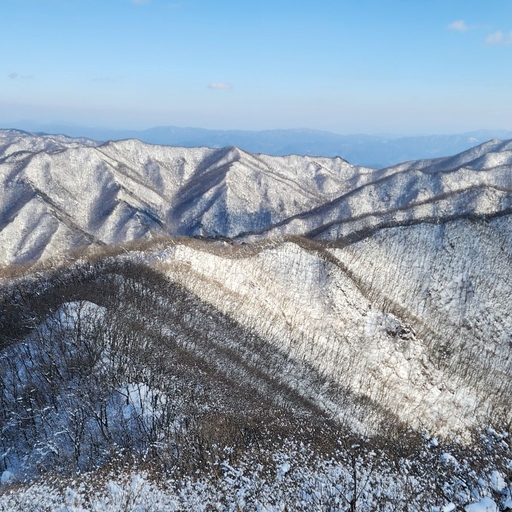 피드 이미지
