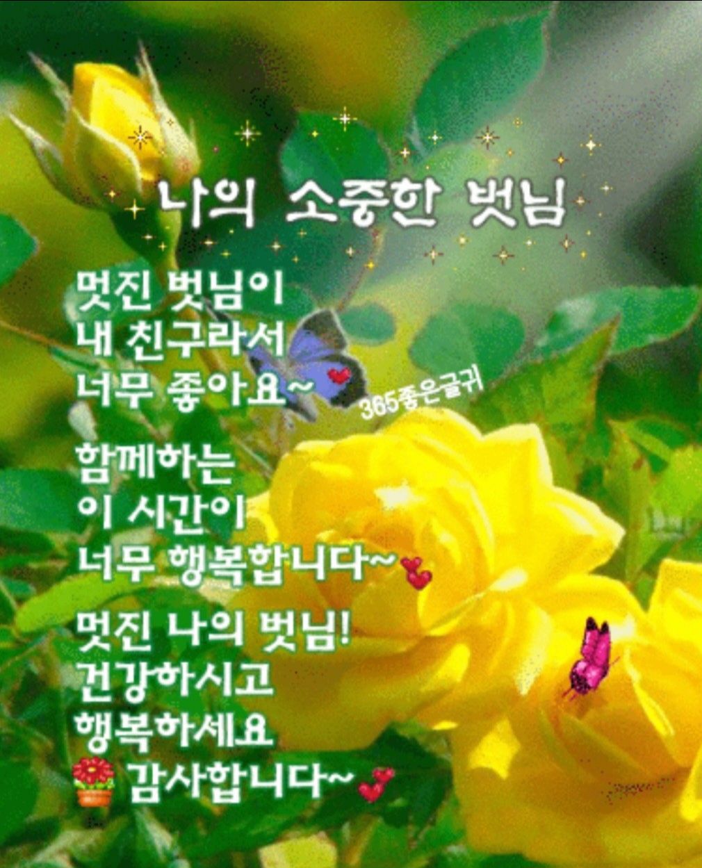 피드에 업로드 된 이미지