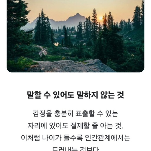 피드 이미지