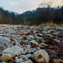 피드에 업로드 된 이미지