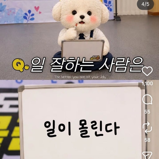 피드 이미지
