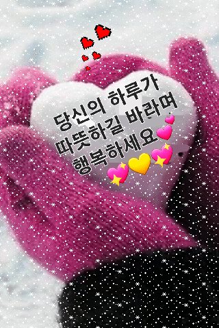 피드에 업로드 된 이미지