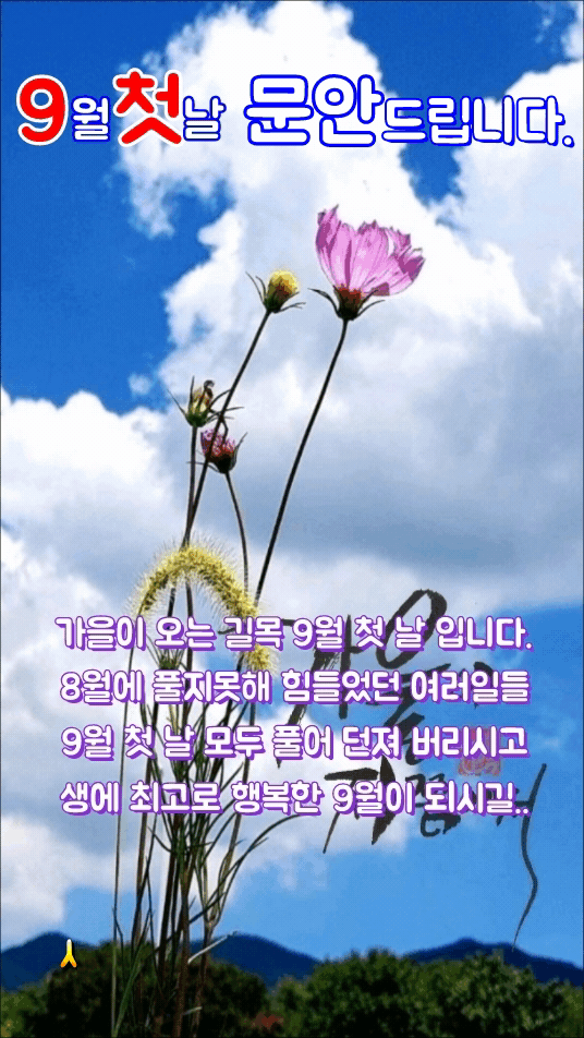 피드에 업로드 된 이미지
