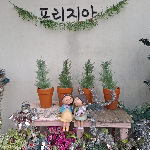 피드 이미지