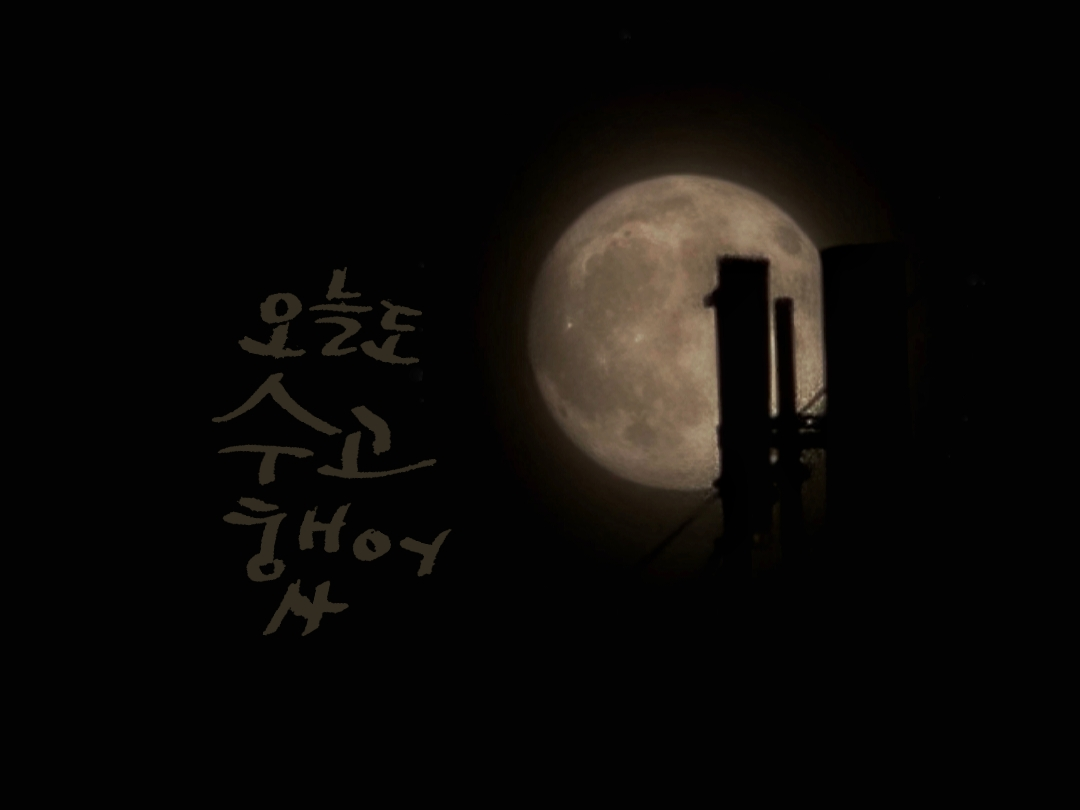 피드 이미지