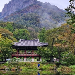 피드에 업로드 된 이미지