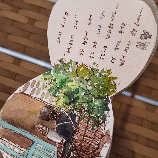 피드 이미지