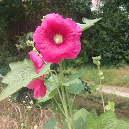 피드에 업로드 된 이미지